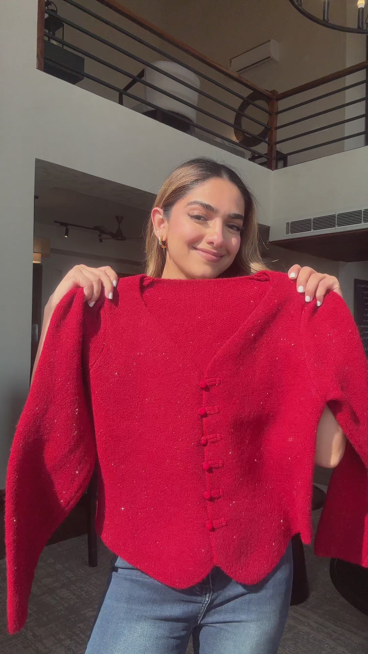 Sylvia Minus degree Sweater Top